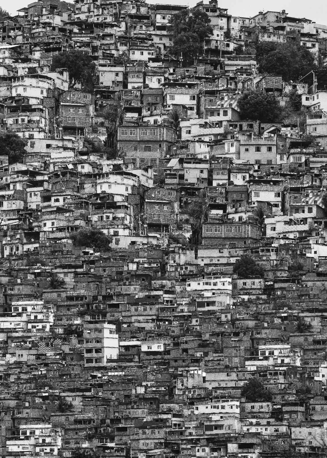 Poster Favela