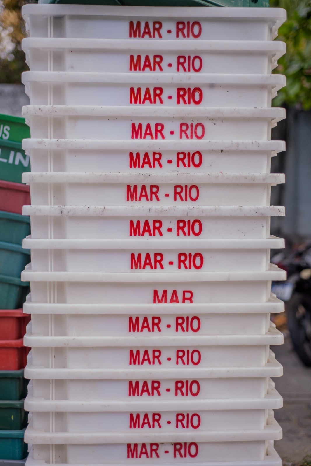 Poster Mar e Rio